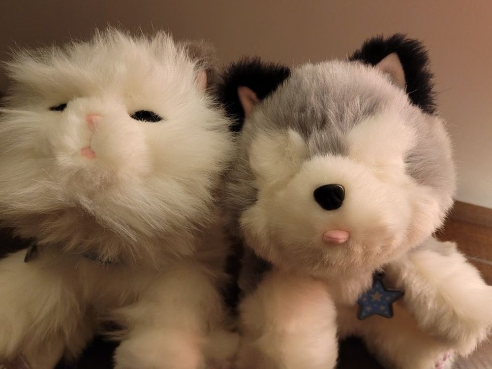 Little Live Pets Husky & Cat