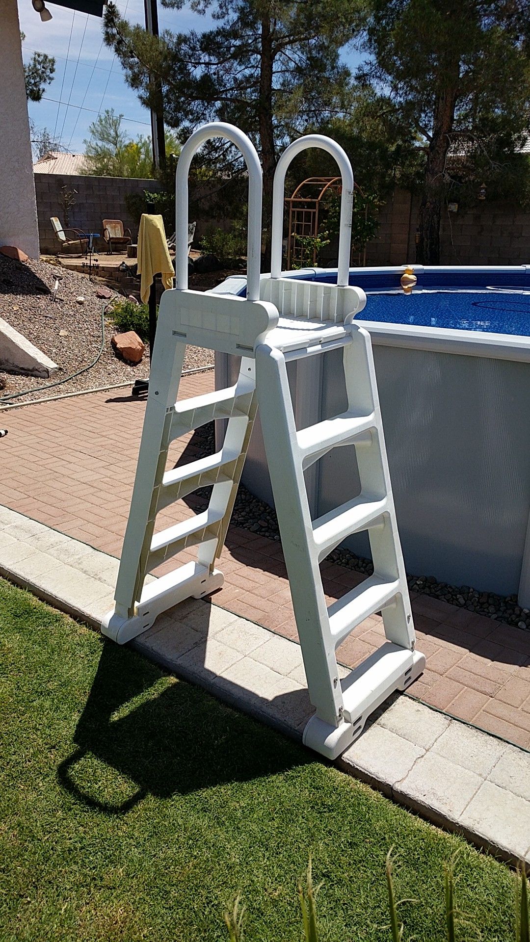 Above ground swimming pool ladder with removable safety entry ladder