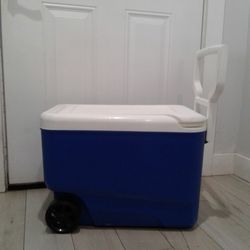 Camping Cooler 