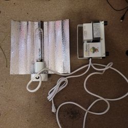 250w High pressure sodium Grow light