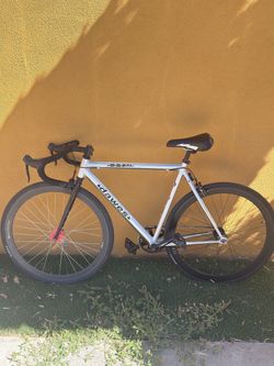 Fixie / Track Bike