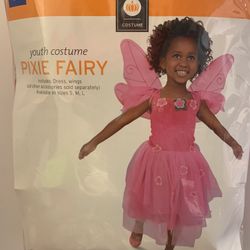 Girl’s Size Large 10-12 Pixie Fairy Pink With Wings  Fairy  