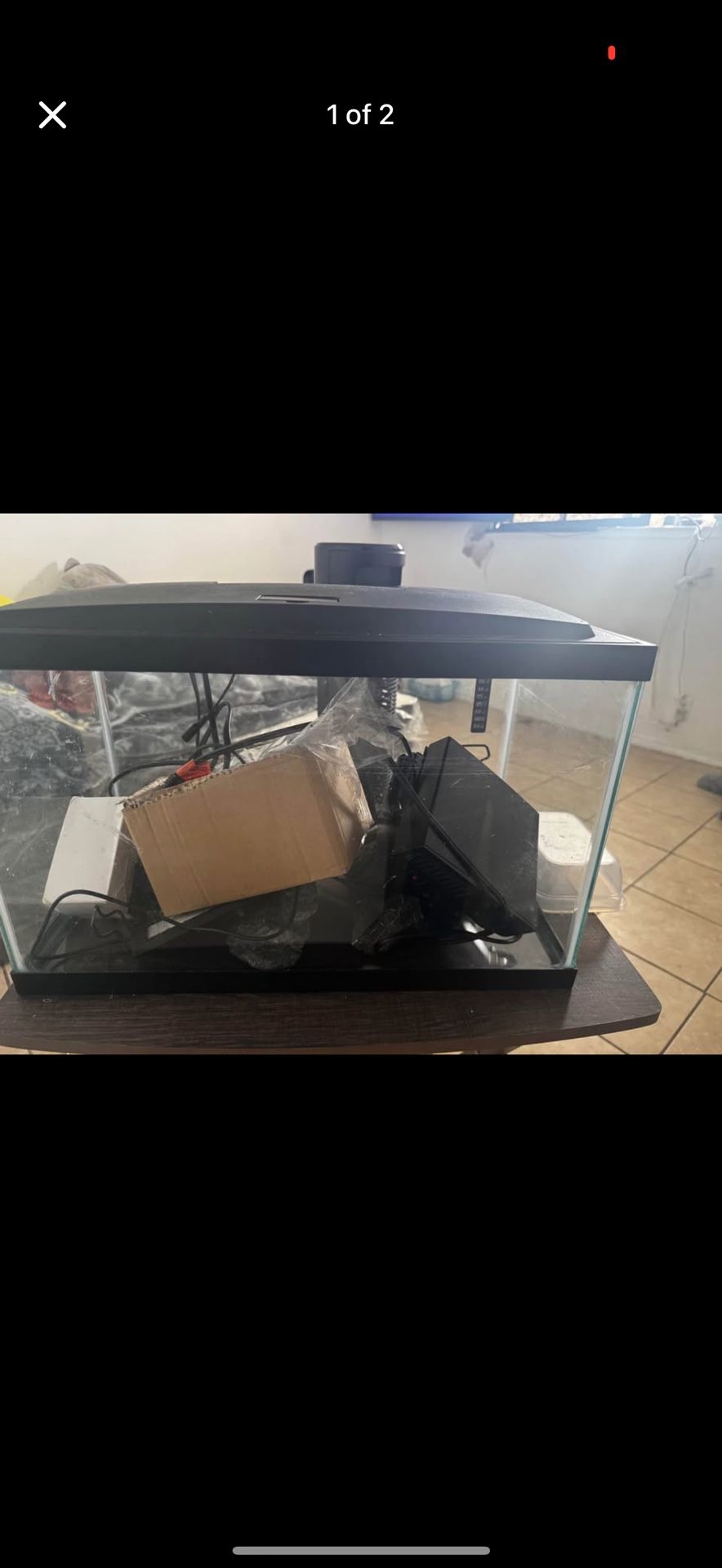 Fish Tank 10 Gallon
