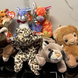 New TY Beanie Baby Cats Kittens Cat Lady Costume Halloweeen beany babies