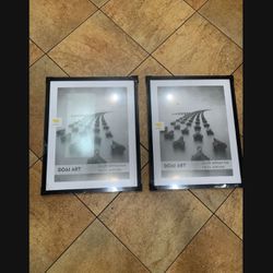 Two Large Frames  (22x28) Or (18x24 With  Mat)