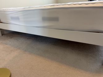 Free Birch Living California King Bed Frame in White