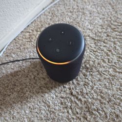Alexa Echo