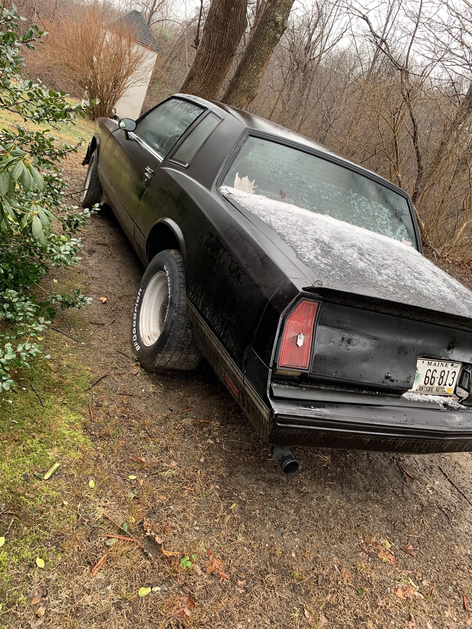 1985 Monte Ss 350