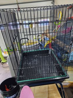 Bird Cage 