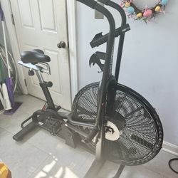 assault bike 