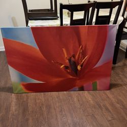 Ikea Art 47”x31” Wall Decor