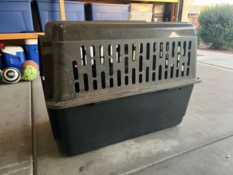Dog Kennel