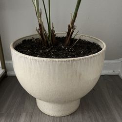 12 Inch Ceramic Planter Pot