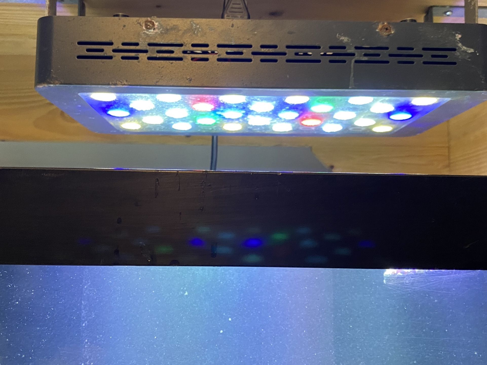 LED Reef Light