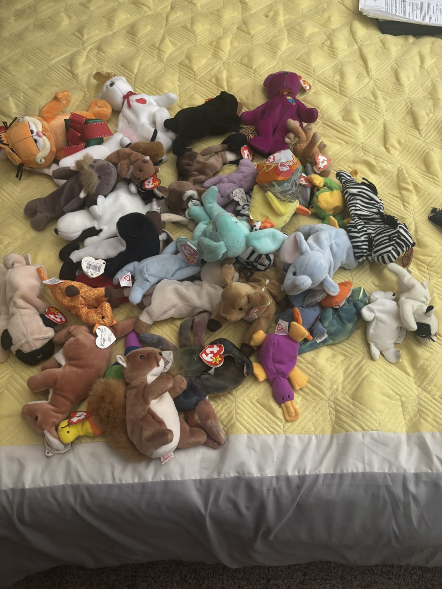 Large Beanie Babies Collection