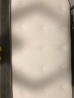 Avocado Bed Organic Cotton