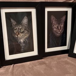 Framed Cats Set Of Four 