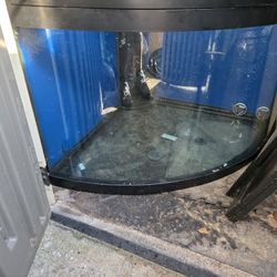 92 Gal Reef Ready Corner Fish Tank Only