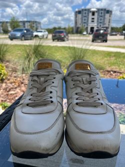 Roberto cavalli white & gold size 8.5 US