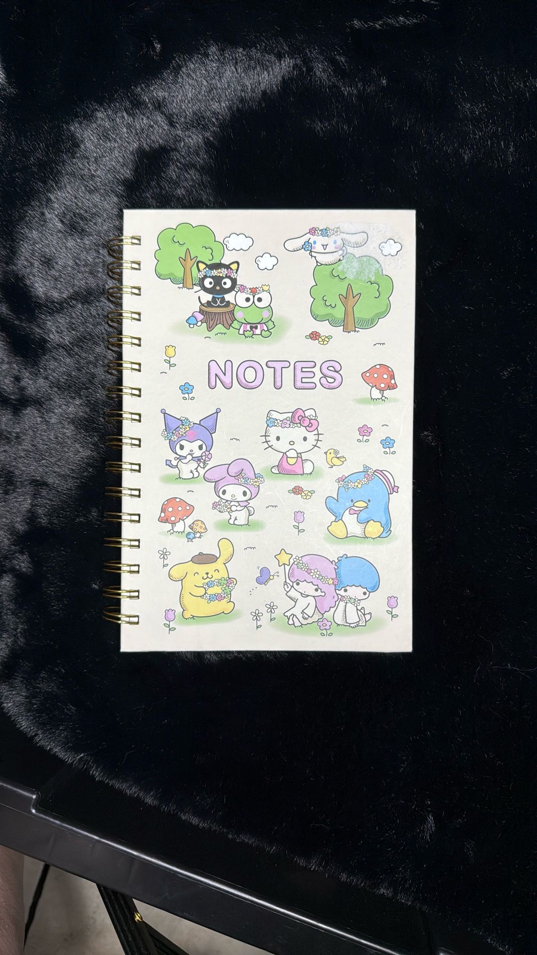 Hello Kitty Spiral Notepad