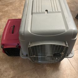 Large Kennel