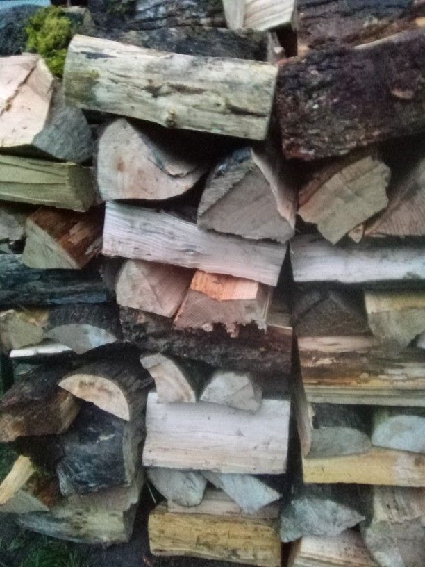 Dry Firewood