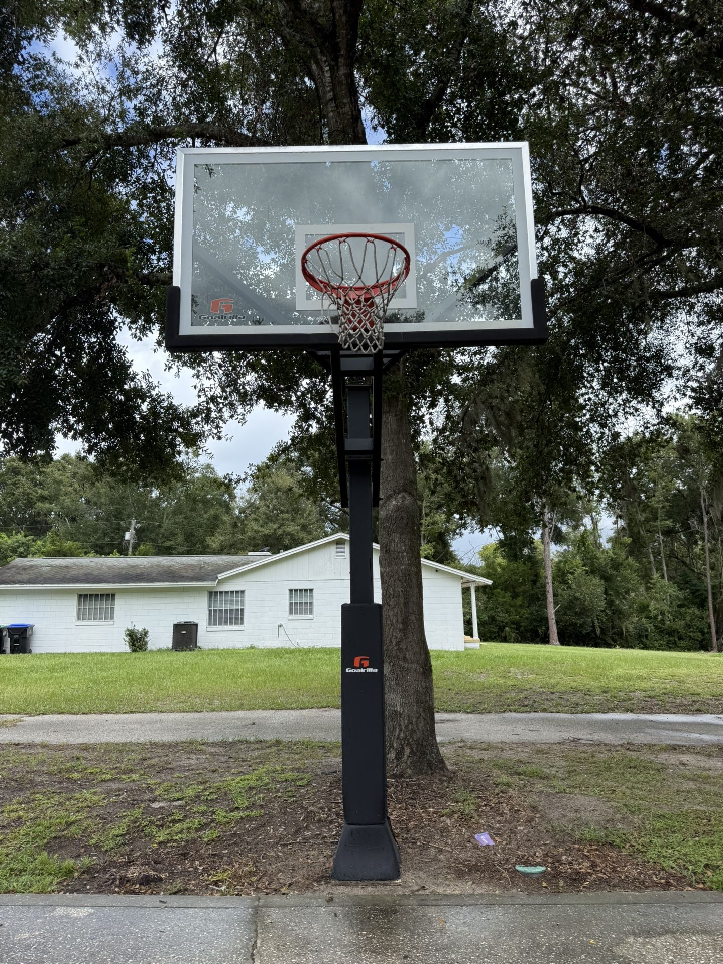 Goalrilla DC72EI In-ground Basketball Hoop