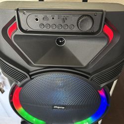 Rechargeable Music player - 15” Woofer  MICROPHONE & CHARGER INCLUDED ! Bluetooth - Fm Radio - Rechargeable  USB PORT - SD MEMORY SLOT - Portable  Com