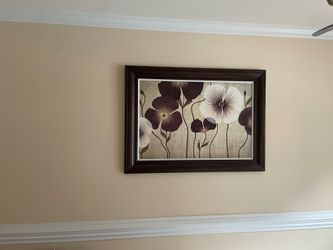 Pictures