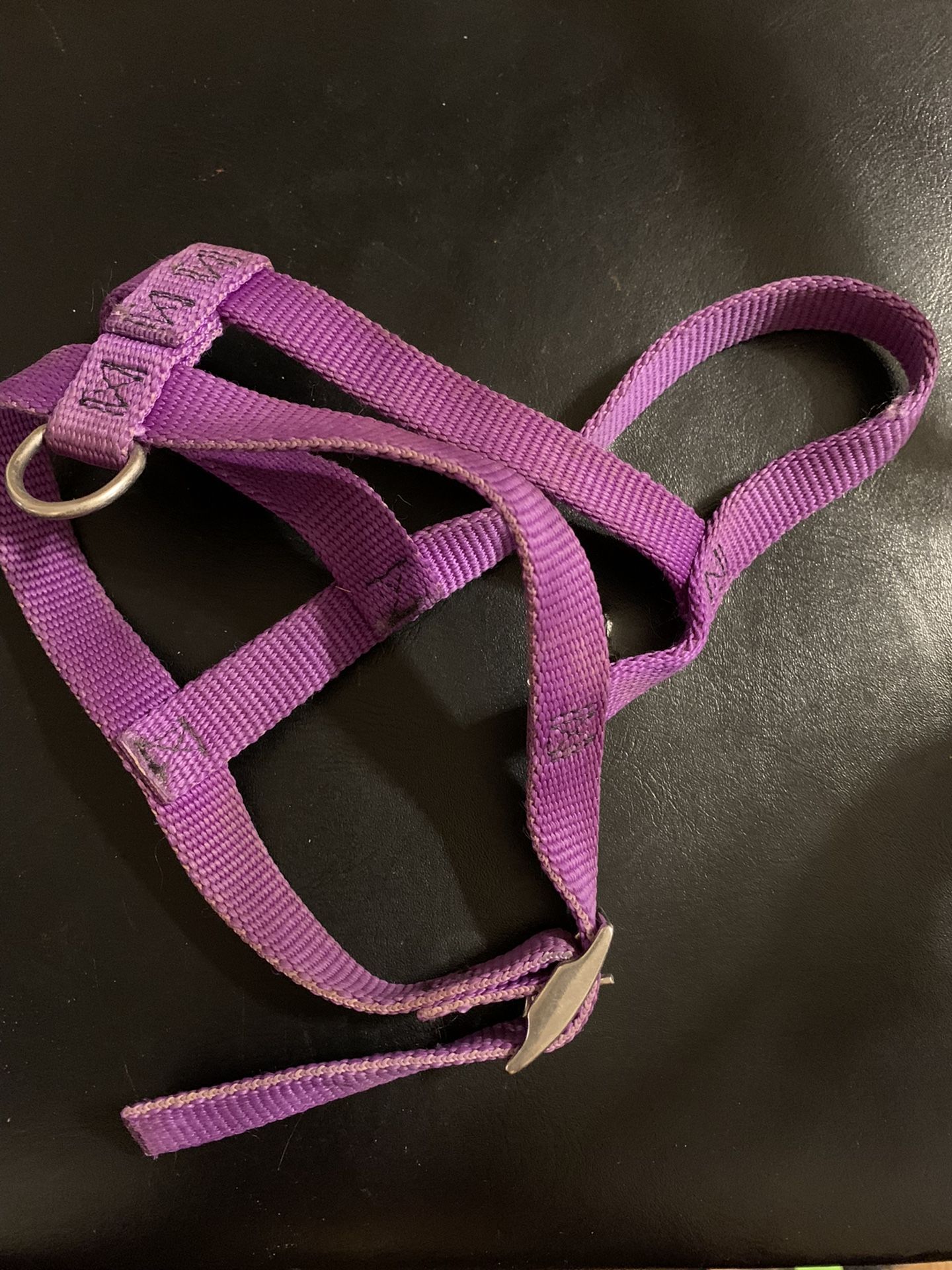 D-2   Harness  Purple Small To Medium Dog  $5