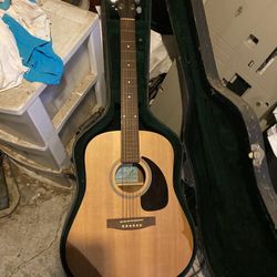 Seagull acoustic guitar