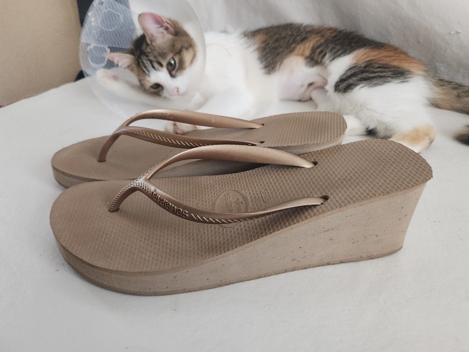 havaianas High flip flops Sz Eu 41 / 42 Us 7 / 8 Sandals