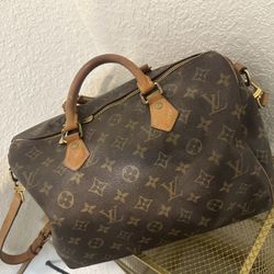 Louis Vuitton Purse Authentic 