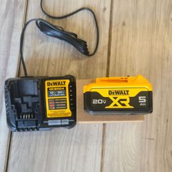DEWALT 20V MAX Premium Lithium-Ion 5.0Ah Battery And Charger