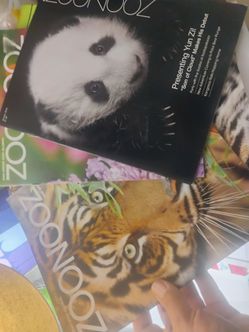 San Diego zoo magazine lot of 5