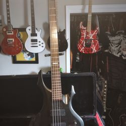 ESP LTD F-205 Bass Guitar 