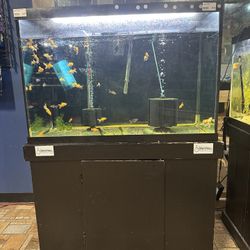 60 Gallon Aquarium And Stand Ensemble 