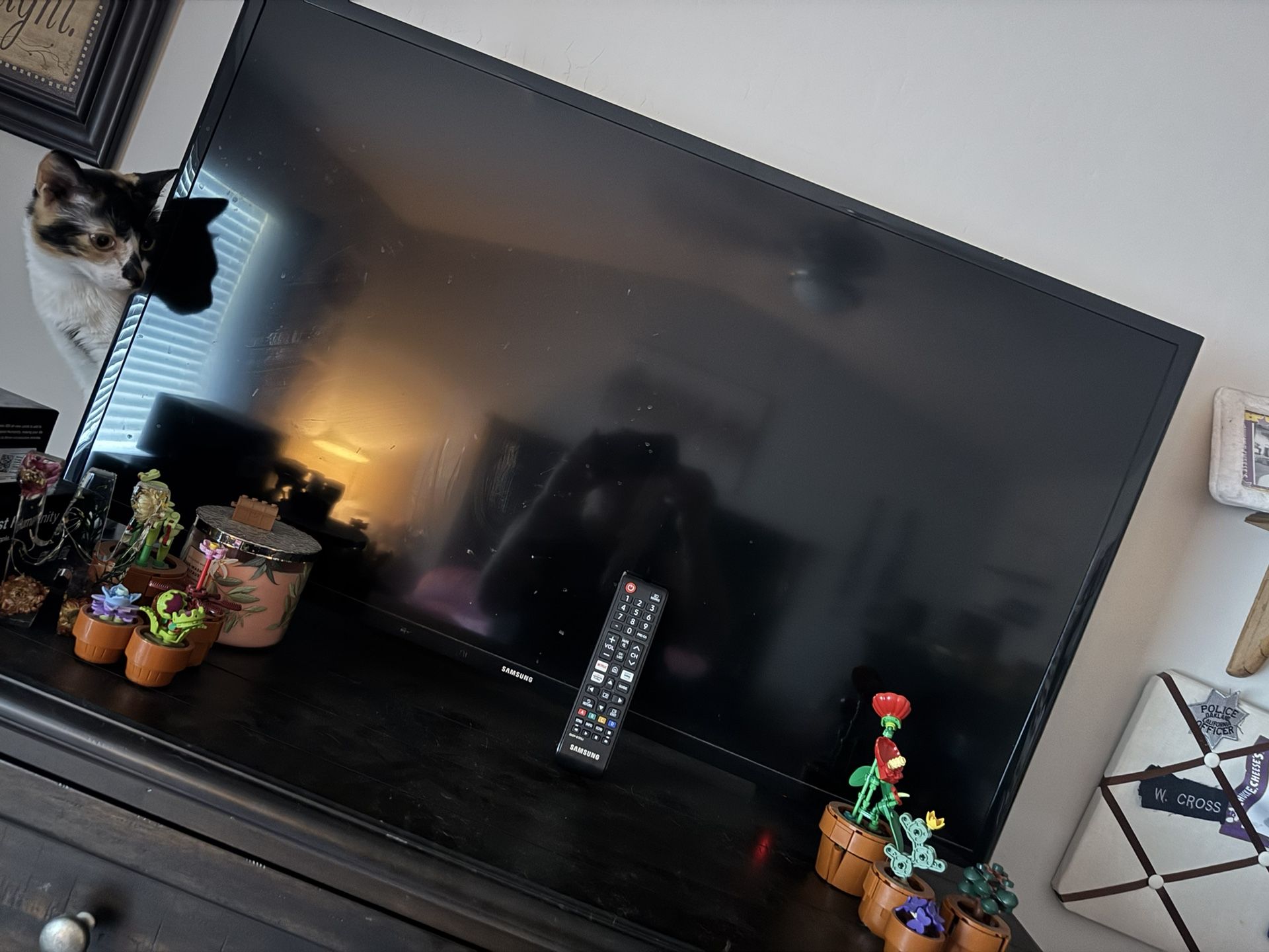 Samsung TV