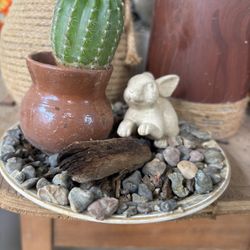 Plantas  Naturales