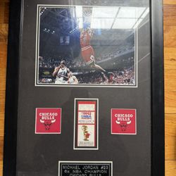 Michael Jordan Frame 