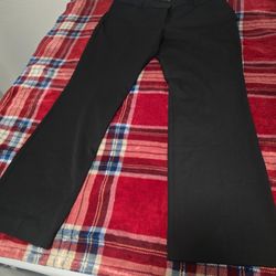 EDITOR BARELY BOOT DRESSY CASUAL PANT FOR WOMEN