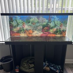 fish tank for sale 