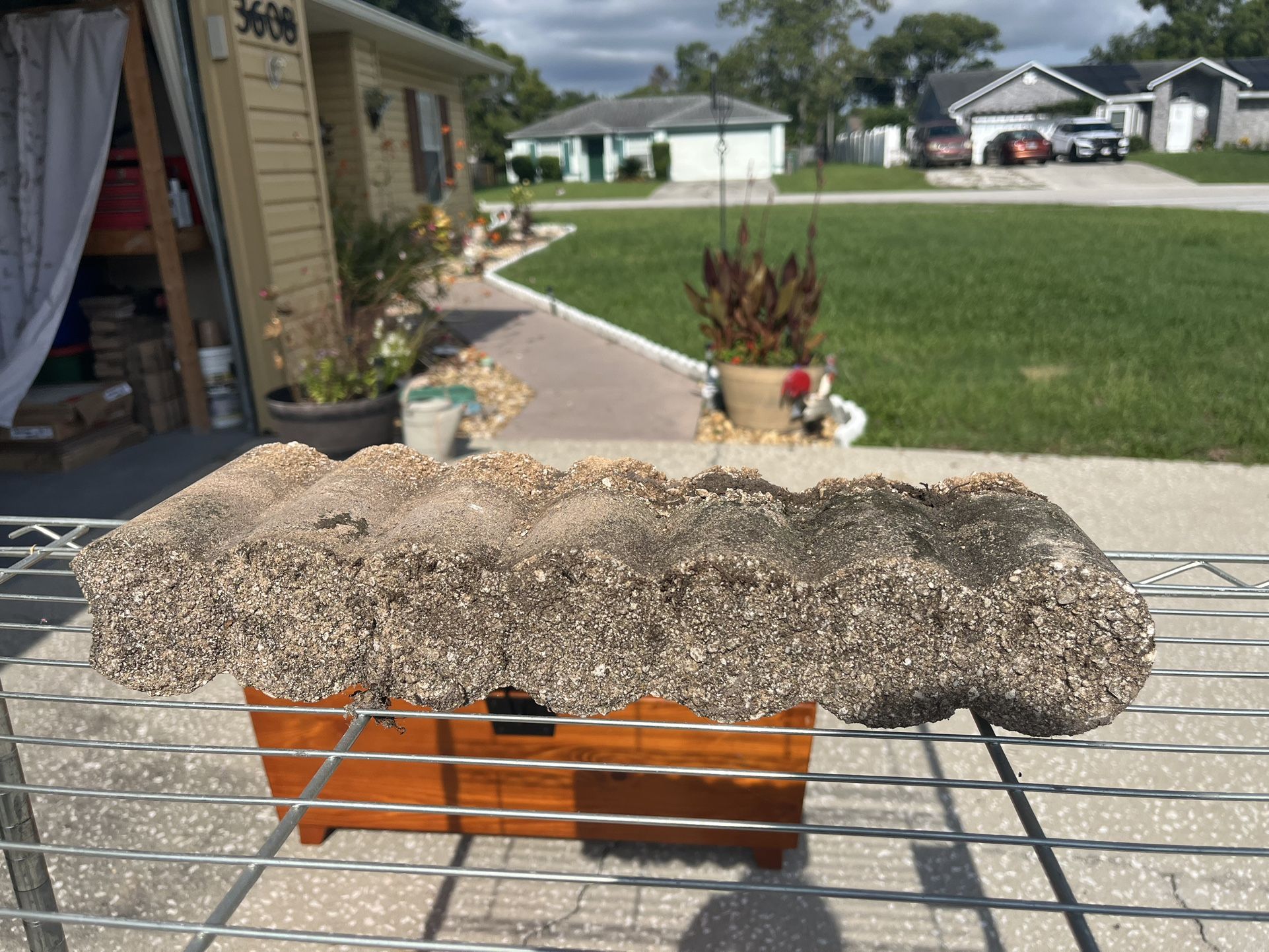 Patio Bricks