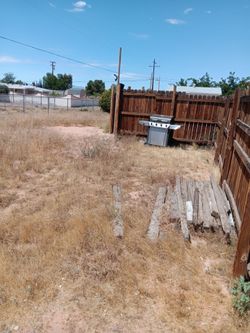 All around yard Cleanup