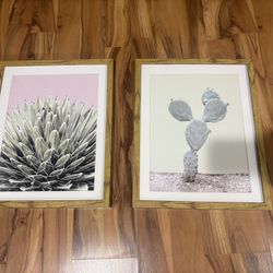 Target Cactus Wall Art 16x20