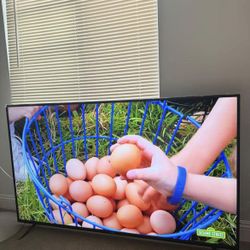 60” Vizio Smart Tv 