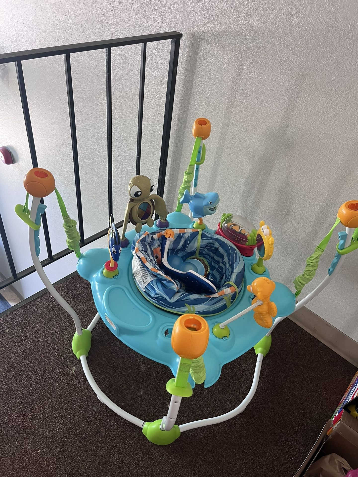 Finding Nemo Exercauser