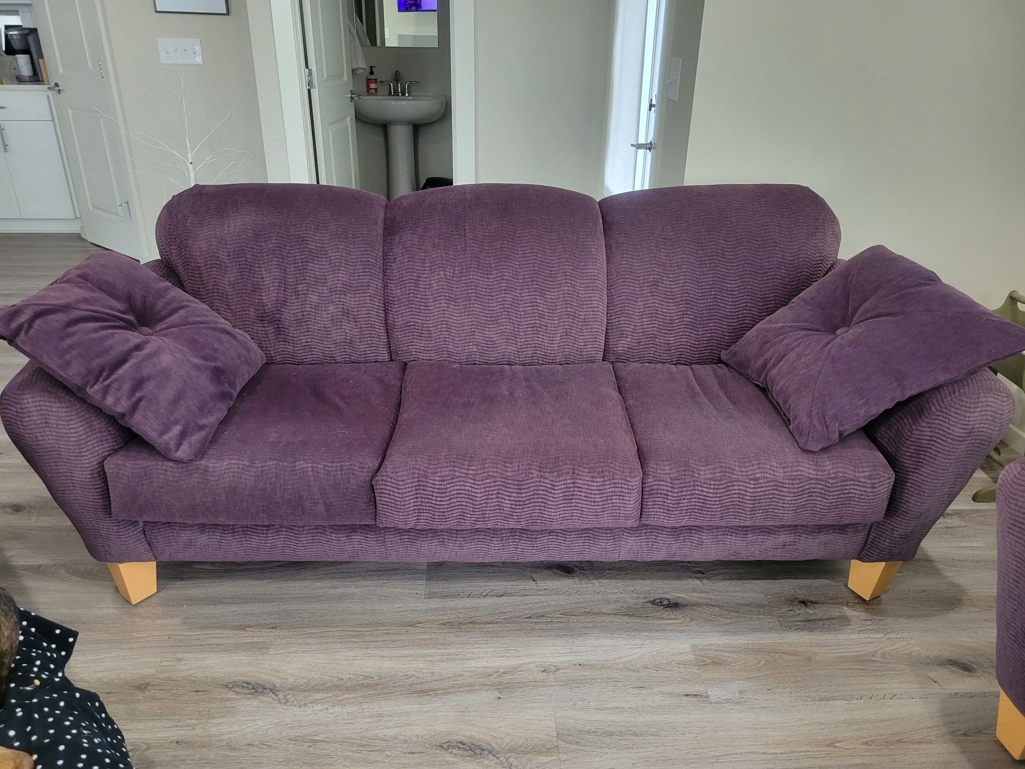 Matching Couch And Loveseat For FREE