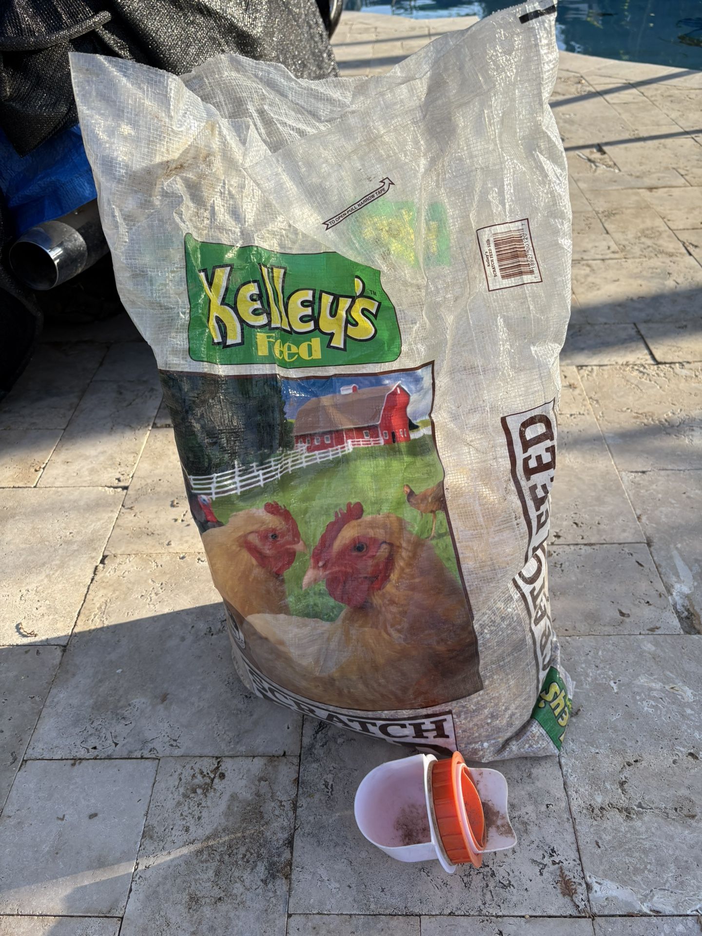 Chicken Feed