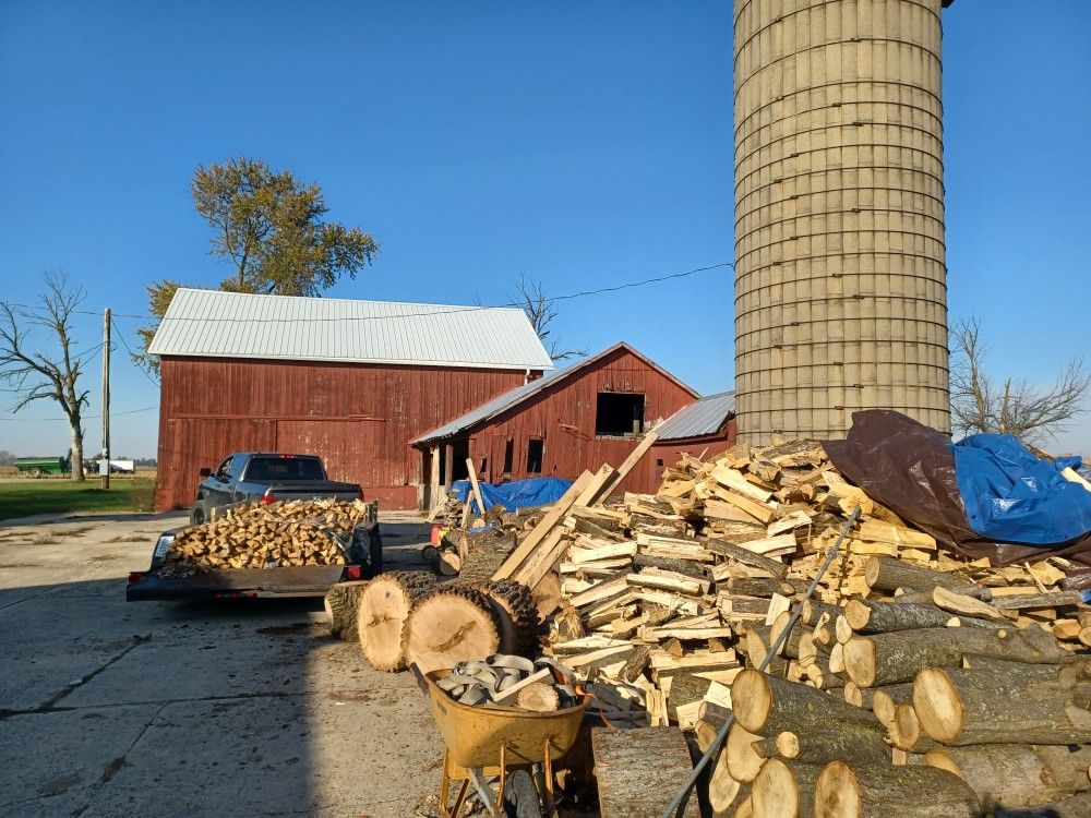 Firewood